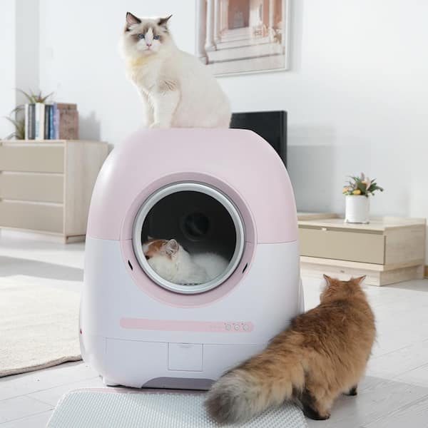 Amucolo Self Cleaning Cat Litter Box, Automatic with Mat Liner