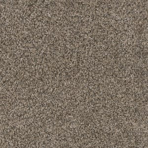 Affectionate II - Sincere - Brown 55 oz. SD Polyester Texture Installed Carpet
