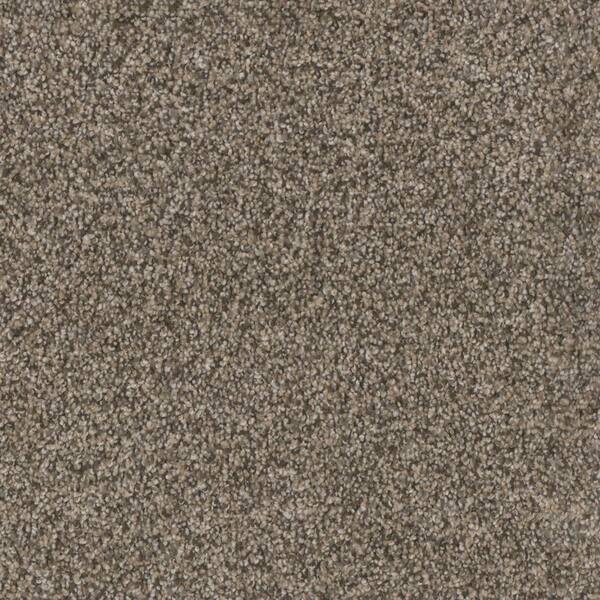 Home Decorators Collection Affectionate II - Sincere - Brown 55 oz. SD Polyester Texture Installed Carpet