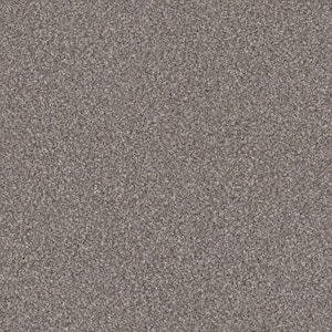 Columbus I - Pebble - Gray 56.2 oz. SD Polyester Texture Installed Carpet