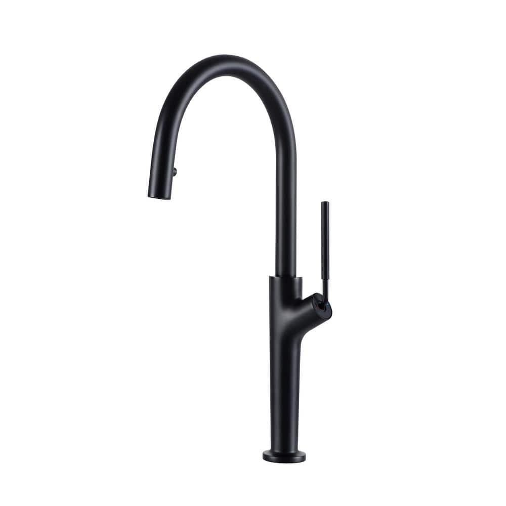 Single Handle Pull Down Sprayer Kitchen Faucet 1.2 GPM with Advanced Spray&