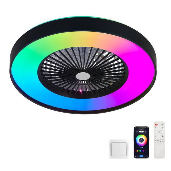 Shinevoy 20 in. Modern Black and White Smart Fan Light