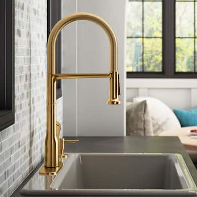 Setra Single-Handle Semi-Professional Kitchen Sink Faucet with Soap Dispenser in Vibrant Brushed Moderne Brass