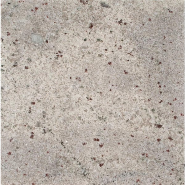 STONEMARK 3 in. x 3 in. Granite Countertop Sample in Bianco Romano