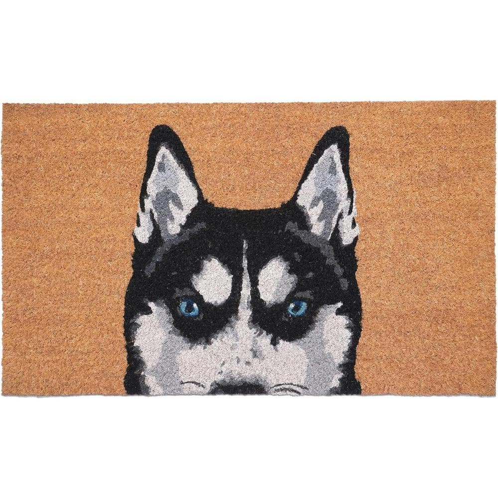 Multi-Colored 36 in. x 24 in. Coir Non-Slip Indoor/Outdoor Door Mat price history on PriceWatchPro