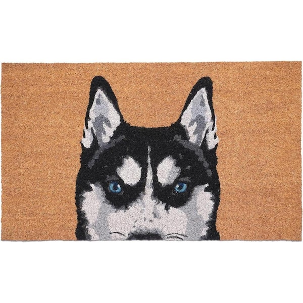 Multi-Colored 36 in. x 24 in. Coir Non-Slip Indoor/Outdoor Door Mat
