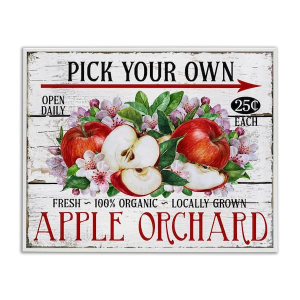 Pick Your Own Apples by Creatif Belle White Framed Food Giclee Art Print 16 in. x 20 in.