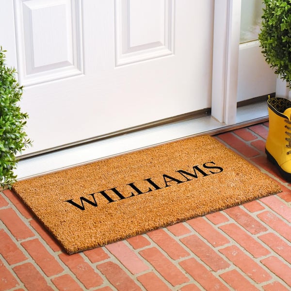 Bold Williams Multi-Colored 17 in. x 29 in. Indoor or Outdoor Doormat