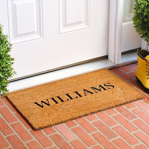 Bold Williams Multi-Colored 24 in. x 36 in. Indoor or Outdoor Doormat