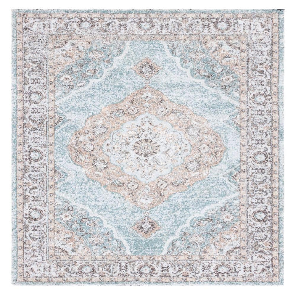 Classic Vintage 6 ft. x 6 ft. Sage/Green Border Distressed Square Area Rug price history on PriceWatchPro