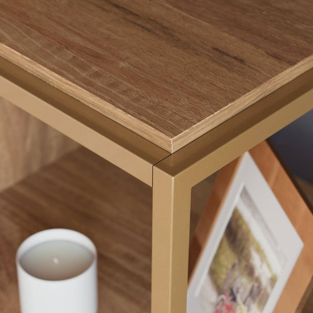 Sindoori Mango and Gold Modern TV Stand with Adjustable Shelf