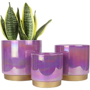 Bohemian 5.5 in. L x 6 in. W x 6 in. H Purple Ceramic Round Indoor/Outdoor Planter (3-Pack)