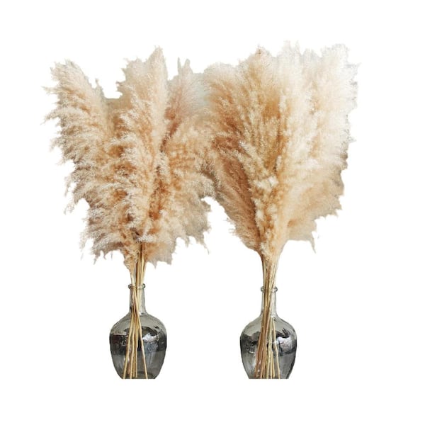 Afoxsos 40 in. 10 Stems Natural Pampas Grass Home Decor, Tall Pampas Grass
