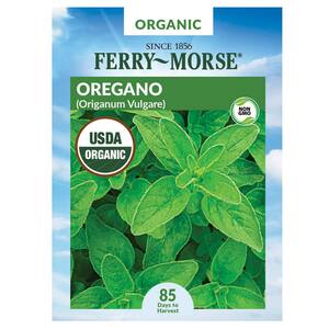 Organic Oregano Herb Seed