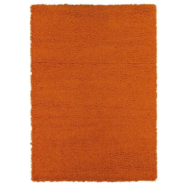 Sweet Home Stores Cozy Collection Solid Design 5x7 Indoor Shag Area Rug, 5 ft. 3 in. x 6 ft. 11 in., Orange