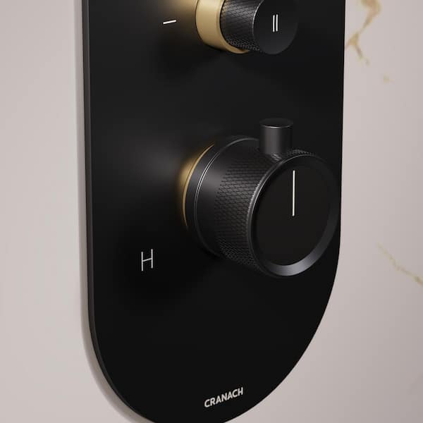 Angelsey 2-Spray 12" Wall Mount Dual Shower Head Handheld Shower Head 1.8 GPM in Matte Black Brushed Gold Valve Included