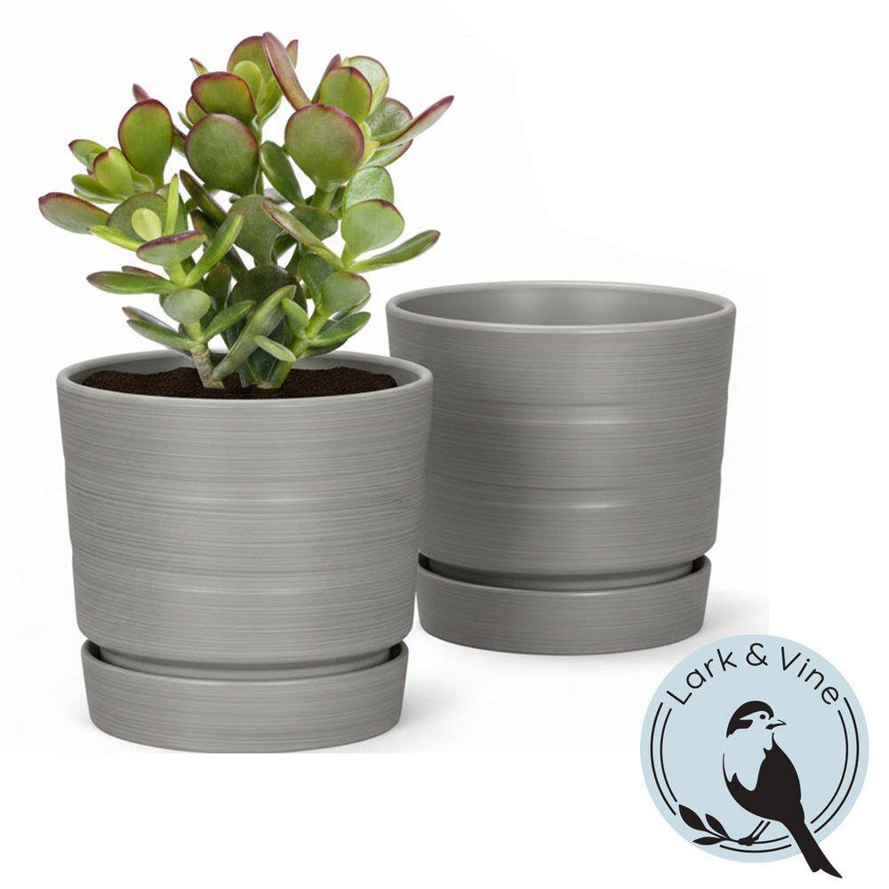 Leith Grey Resin Recycled Materials Planter with Saucer (8 in. L x 8 in. W x 7.5 in. H) (2-Pack) price history on PriceWatchPro