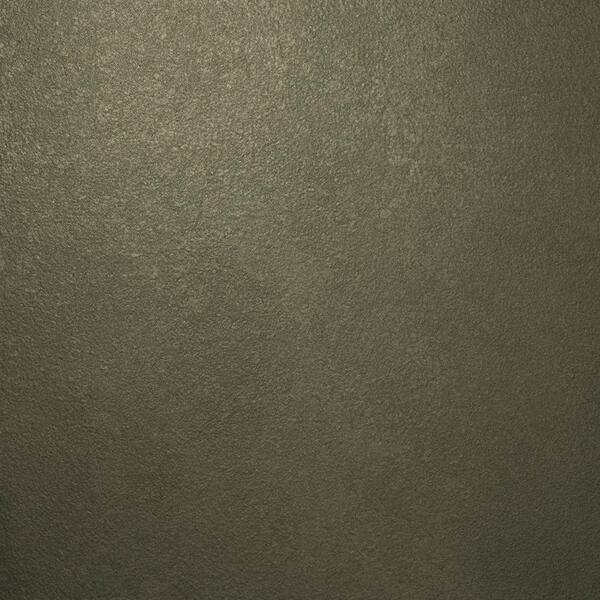 Ralph Lauren 13 in. x 19 in. #ME123 Ancient Alloy Metallic Specialty Paint Chip Sample