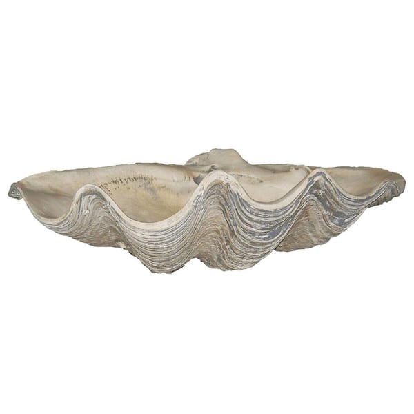 Large Natural Clam Shell