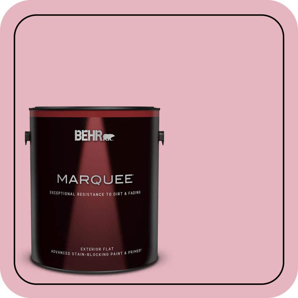 1 gal. #M140-3 Premium Pink Flat Exterior Paint & Primer price history on PriceWatchPro