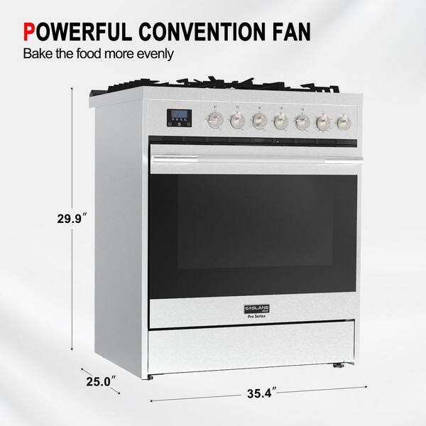 https://images.thdstatic.com/productImages/b18ae4c4-3a8b-4896-b8f8-a89b6f08f6c6/svn/stainless-steel-gasland-chef-single-oven-gas-ranges-rgg30503ms-1f_600.jpg