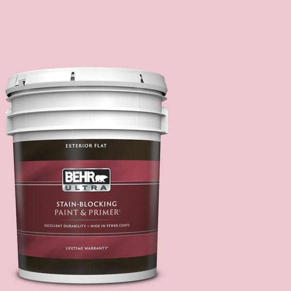 BEHR ULTRA 5 gal. #M140-2 Funny Face Flat Exterior Paint & Primer