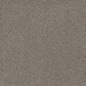 Serene Glory I-Cool Brown-40 oz. SD Polyester Texture Installed Carpet