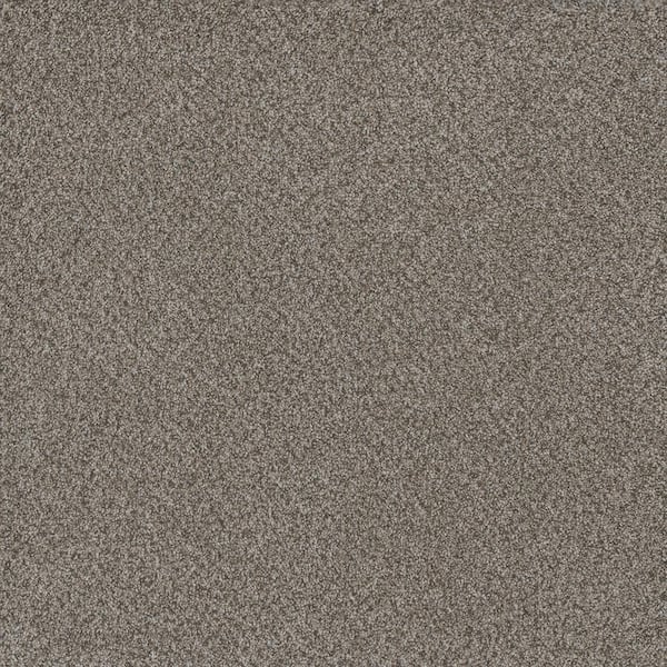 Home Decorators Collection Serene Glory I-Cool Brown-40 oz. SD Polyester Texture Installed Carpet