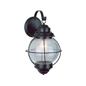 Catalina 13.5 in. 1-Light Black Outdoor Wall Light Fixture with Seeded Glass