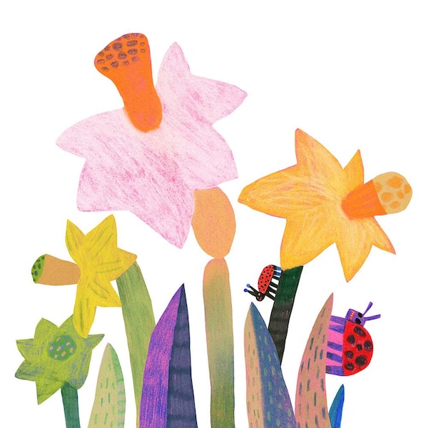 VAN ZYVERDEN Daffodils Bulbs Gardening with Childeren Mixture (Set of 25)