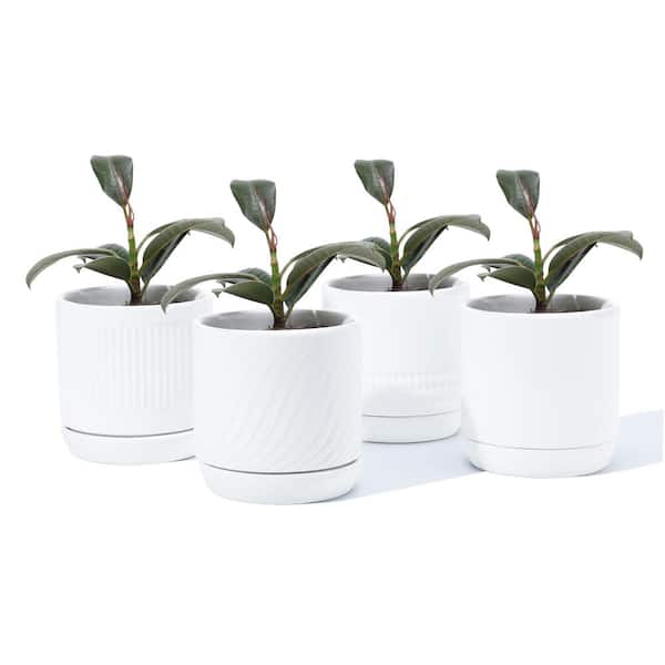 Plant Pots with Drainage Holes and Saucer, Set of 4