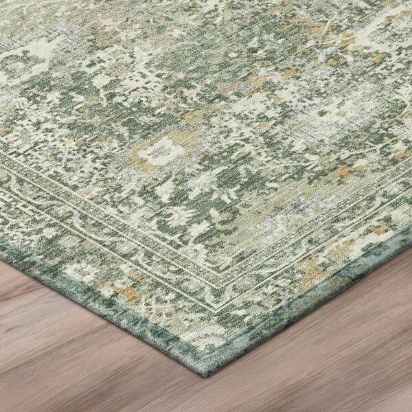 Chantille Machine Washable Indoor/Outdoor Abstract ACN3175 Basil 9 ft. x 12 ft. Area Rug