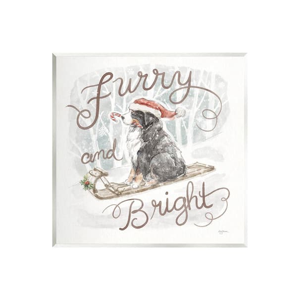 Stupell Industries Furry and Bright Dog by Mary Urban 1-Piece Unframed Graphic Print Animal Poster Art Print 12 in. x 12 in.