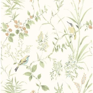 Green Sage Songbird Peel and Stick Wallpaper Sample