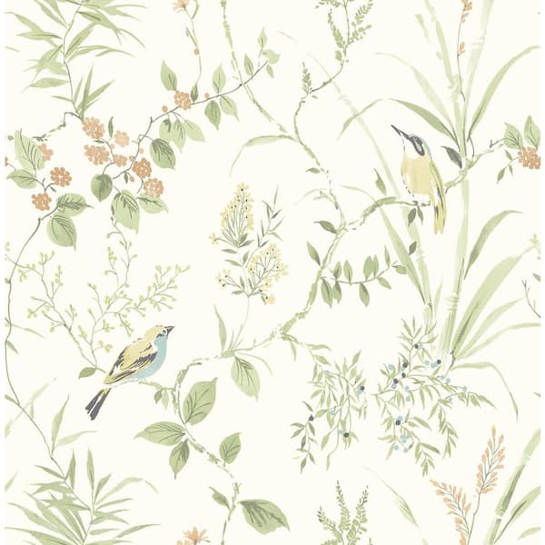 Green Sage Songbird Peel and Stick Wallpaper Sample