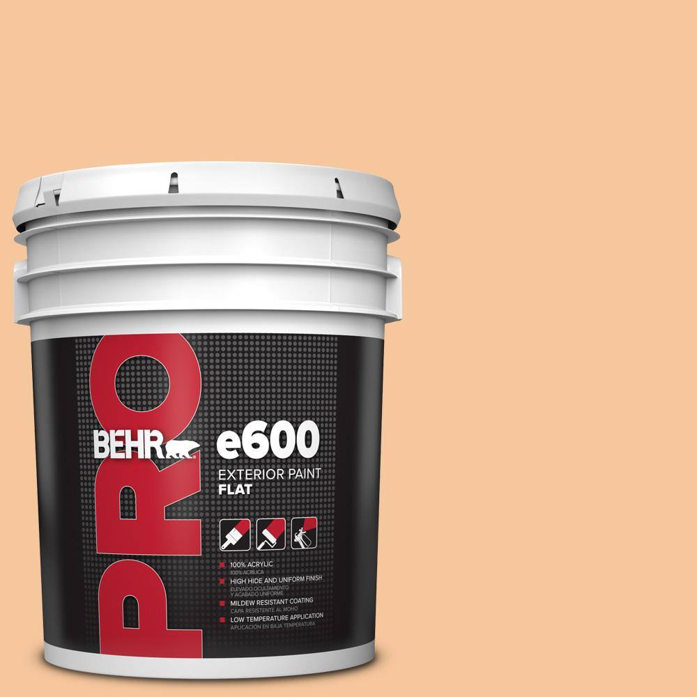 5 gal. #M230-4 Cactus Blooms Flat Paint price history on PriceWatchPro