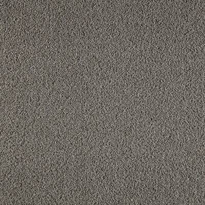 Collinger II - Color Flannel Indoor Texture Gray Carpet