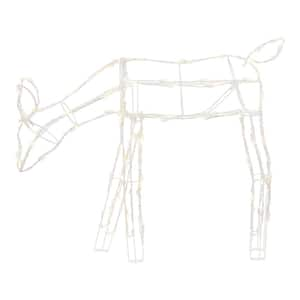 3 ft. LED Wire Doe Holiday Yard Decoration