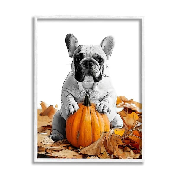 Stupell Industries Puppy with Fall Pumpkin by Annalisa Latella 1 Piece Framed Graphic Print Animal Poster Art Print 14 in. x 11 in.