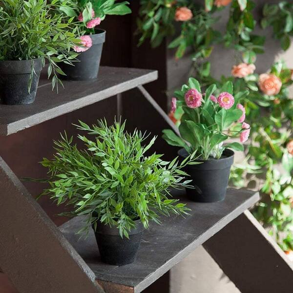 Unbranded Black Terracotta Indoor/Outdoor Planter with Saucer(4 in. W x 4  in. H)6-Pack L08KVQGGQN