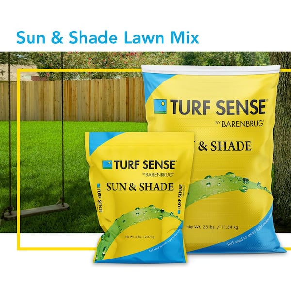 Mix ft. 25625 Grass Sense - Barenbrug 25 and Depot Seed The lbs. 8,300 sq. Shade Sun Turf Home