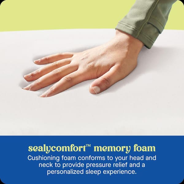 Dreamlife Memory Foam Standard Pillow