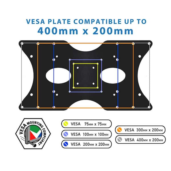 VESA 200x200 standard with adapter plate