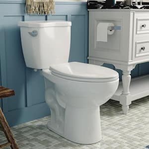 Dynasty 2-Piece High-Efficiency 1.28 GPF Single Flush 12 in. Rough in Size Elongated Toilet in White Seat Included