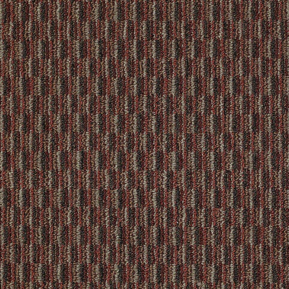 8 in. x 8 in. Berber Carpet Sample - Morro Bay - Color Cactus Flower price history on PriceWatchPro