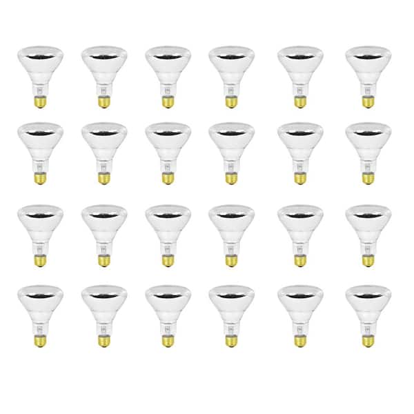 Feit Electric 100-Watt Soft White (2700K) BR30 Dimmable Incandescent 12-Volt Pool and Spa Flood Light Bulb (24-Pack)