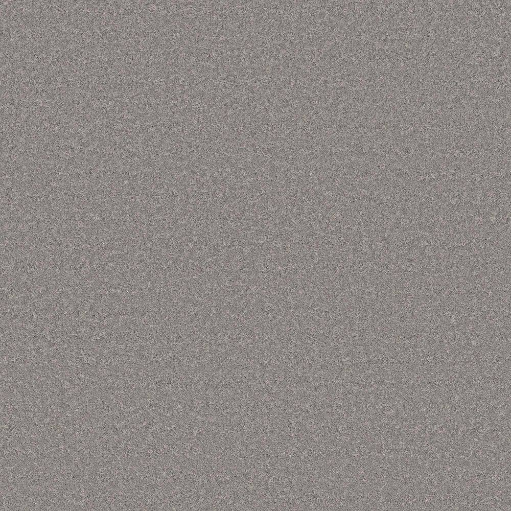 8 in. x 8 in. Texture Carpet Sample - Vignette Velvet II - Color Evening Shadow price history on PriceWatchPro