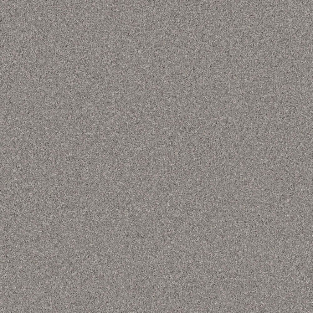 8 in. x 8 in. Texture Carpet Sample - Vignette Velvet I - Color Evening Shadow price history on PriceWatchPro