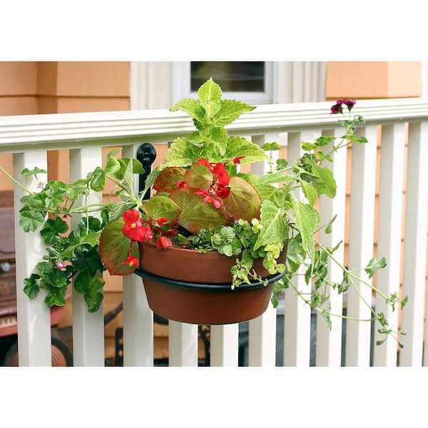 Plant Holder Ring 6 Inch Flower Pot Mounting Ring Wall Planter Hook Metal  Plant Hanger Ring Metal, for Herb, Plant (4 Pack) : Amazon.in: Garden &  Outdoors