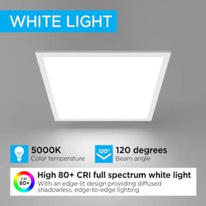 2 ft. x 2 ft. Skylight 40-Watt 4400 Lumens Dimmable Integrated LED Flat Panel Light with 5000K, White (Set of 2)